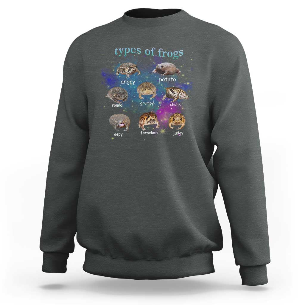 Types Of Frogs Funny Rain Frog Meme Chart Sweatshirt Angry Grumpy Eepy Chonk Potato Round Judgy Ferocious