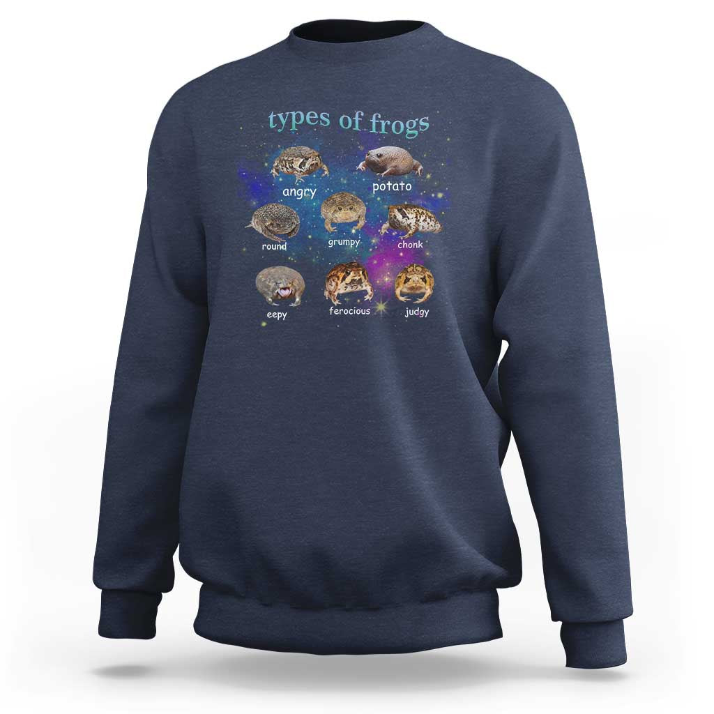Types Of Frogs Funny Rain Frog Meme Chart Sweatshirt Angry Grumpy Eepy Chonk Potato Round Judgy Ferocious