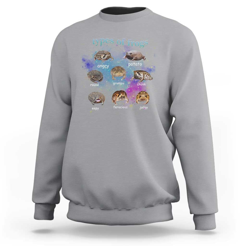 Types Of Frogs Funny Rain Frog Meme Chart Sweatshirt Angry Grumpy Eepy Chonk Potato Round Judgy Ferocious