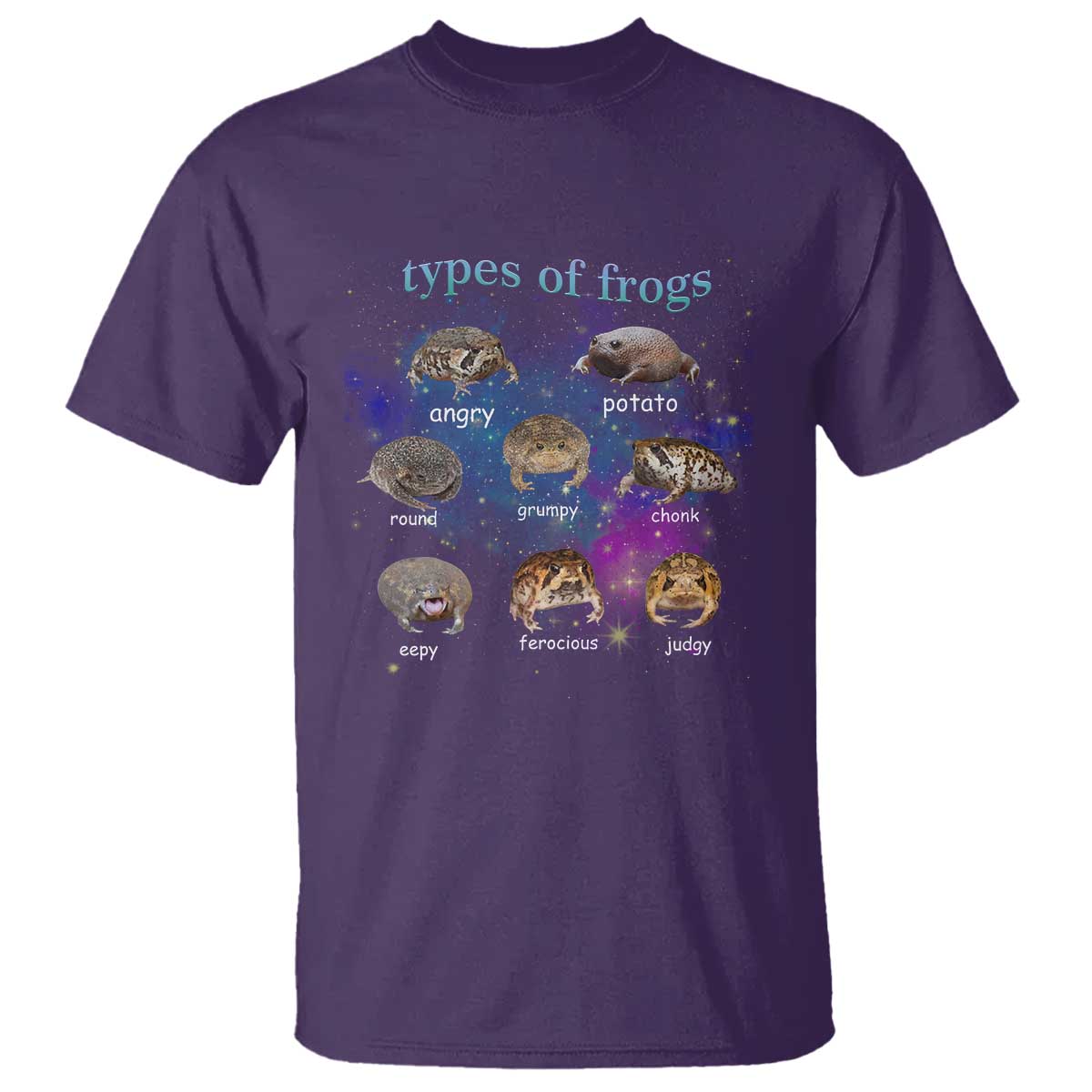 Types Of Frogs Funny Rain Frog Meme Chart T Shirt Angry Grumpy Eepy Chonk Potato Round Judgy Ferocious