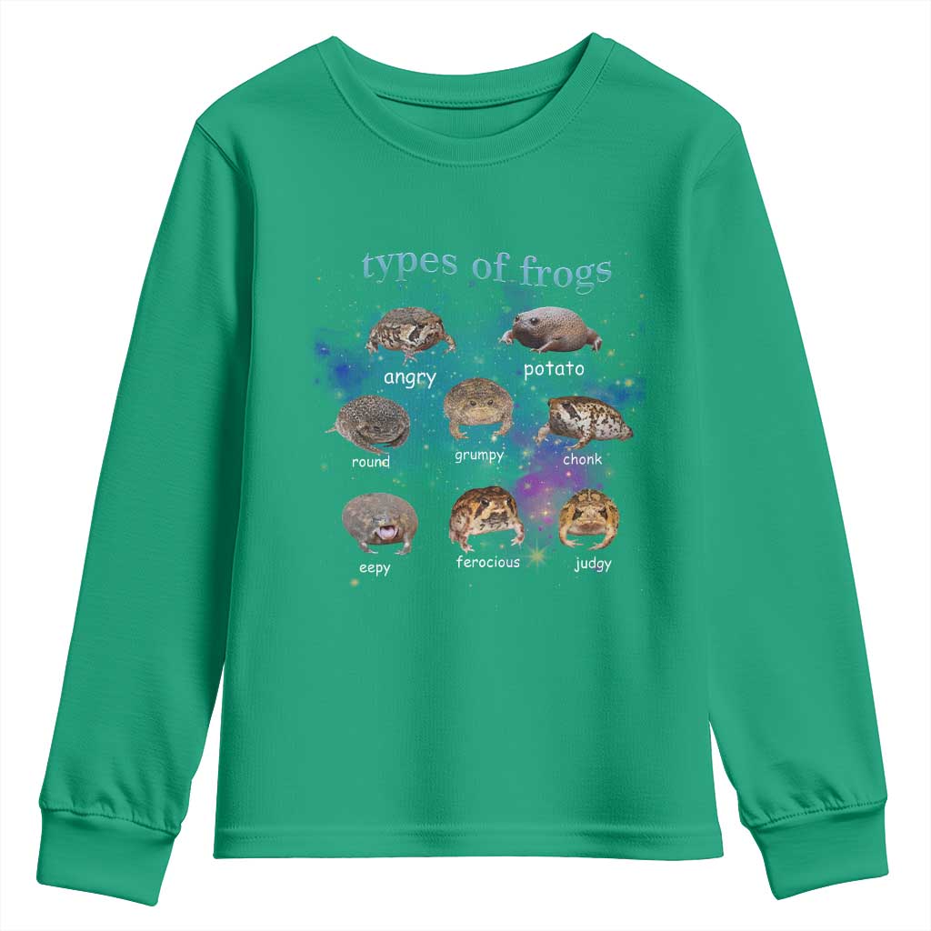 Types Of Frogs Funny Rain Frog Meme Chart Youth Sweatshirt Angry Grumpy Eepy Chonk Potato Round Judgy Ferocious