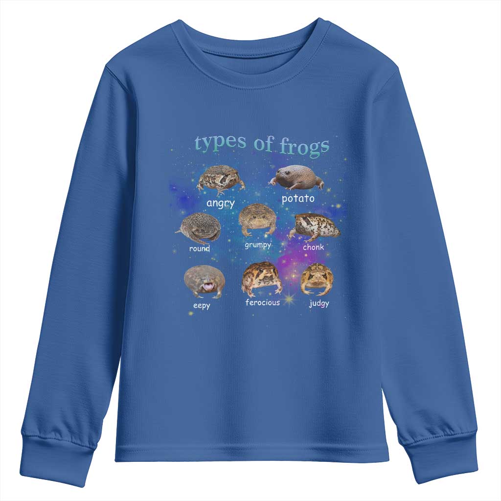 Types Of Frogs Funny Rain Frog Meme Chart Youth Sweatshirt Angry Grumpy Eepy Chonk Potato Round Judgy Ferocious