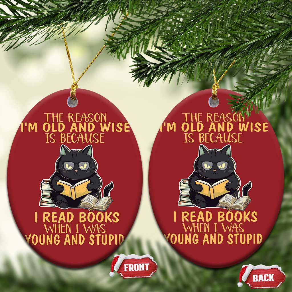 Black Cat Reading Christmas Ornament I'm Old And Wise Because I Read Books When I Was Young And Stupid Funny Reading Lover - Wonder Print Shop