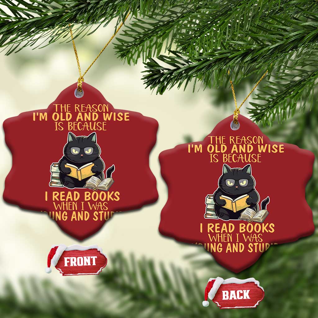 Black Cat Reading Christmas Ornament I'm Old And Wise Because I Read Books When I Was Young And Stupid Funny Reading Lover - Wonder Print Shop