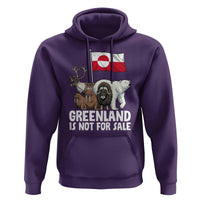 Greenland Is Not For Sale Hoodie Arctic Animal Resist Protest Greenland Flag