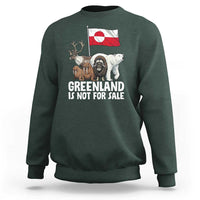 Greenland Is Not For Sale Sweatshirt Arctic Animal Resist Protest Greenland Flag