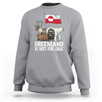 Greenland Is Not For Sale Sweatshirt Arctic Animal Resist Protest Greenland Flag