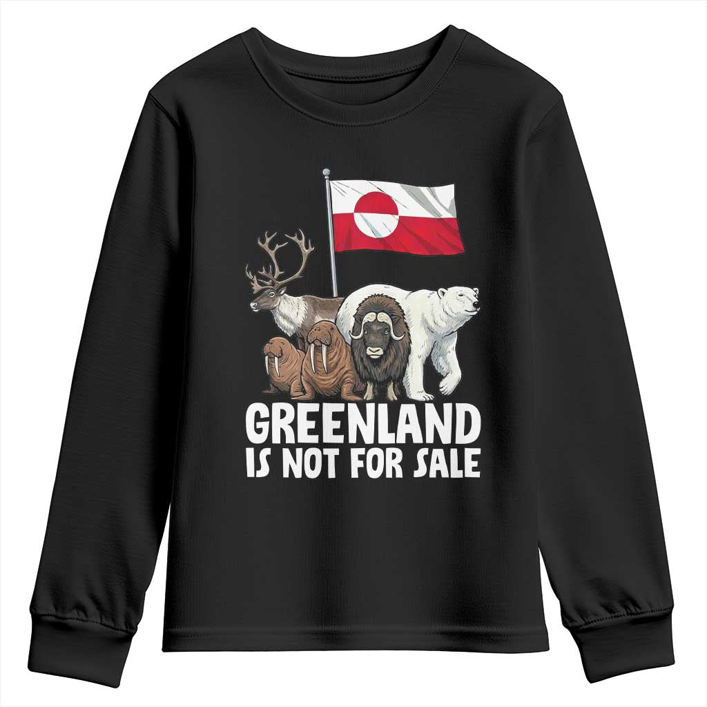 Greenland Is Not For Sale Youth Sweatshirt Arctic Animal Resist Protest Greenland Flag