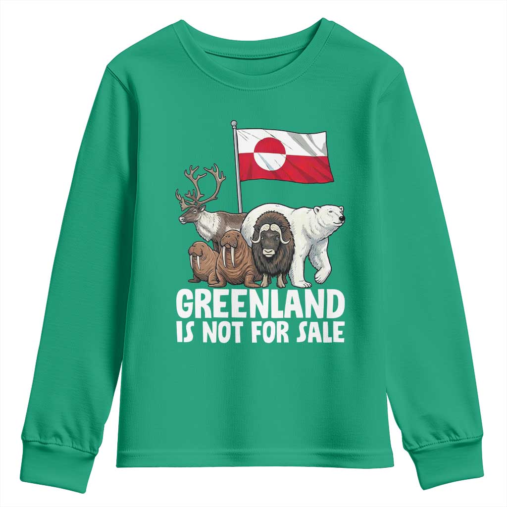 Greenland Is Not For Sale Youth Sweatshirt Arctic Animal Resist Protest Greenland Flag