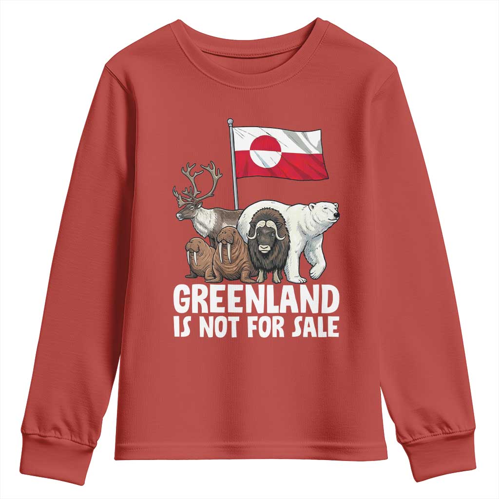 Greenland Is Not For Sale Youth Sweatshirt Arctic Animal Resist Protest Greenland Flag