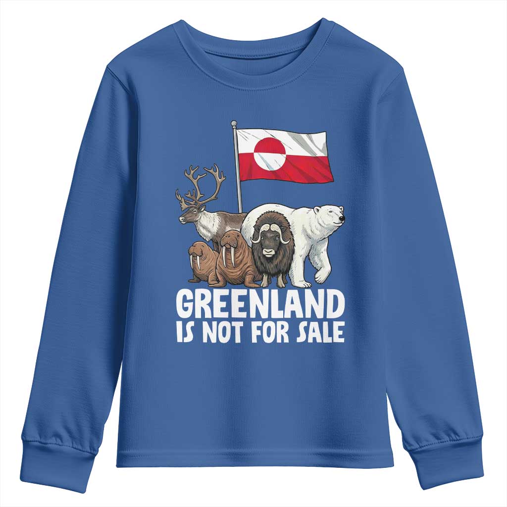 Greenland Is Not For Sale Youth Sweatshirt Arctic Animal Resist Protest Greenland Flag
