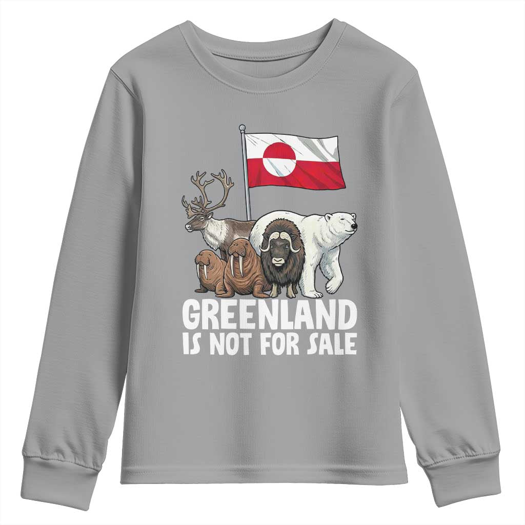 Greenland Is Not For Sale Youth Sweatshirt Arctic Animal Resist Protest Greenland Flag