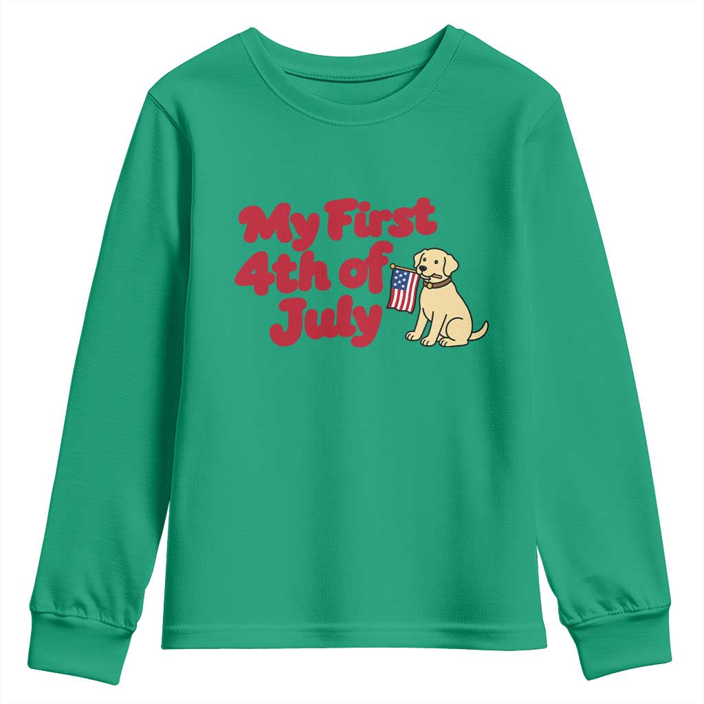 My First 4th of July Cute Golden Retriever Puppy Dog Youth Sweatshirt American Flag Independence Holiday Milestone