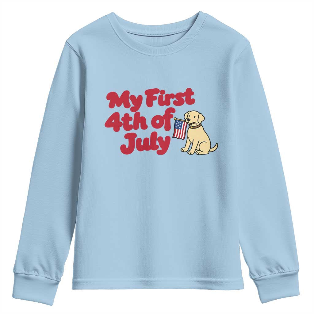 My First 4th of July Cute Golden Retriever Puppy Dog Youth Sweatshirt American Flag Independence Holiday Milestone