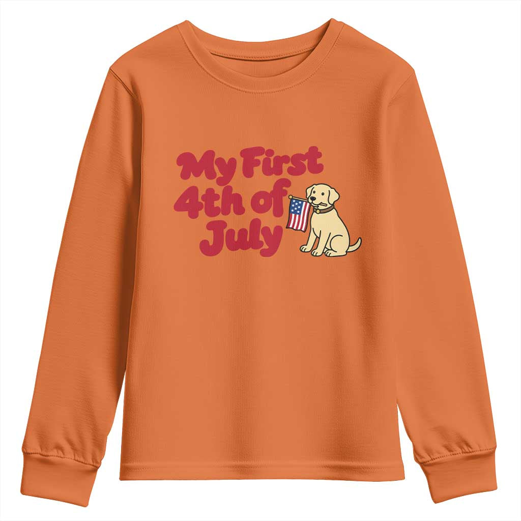 My First 4th of July Cute Golden Retriever Puppy Dog Youth Sweatshirt American Flag Independence Holiday Milestone