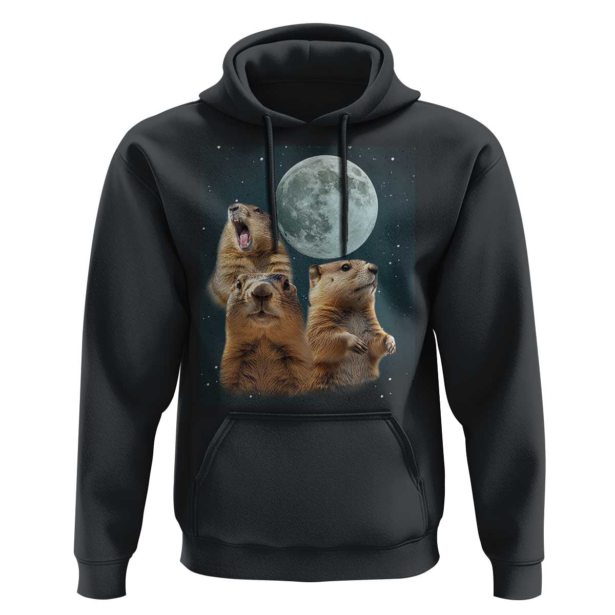 Funny Three Groundhog Meme Hoodie Woodchucks Under The Moon