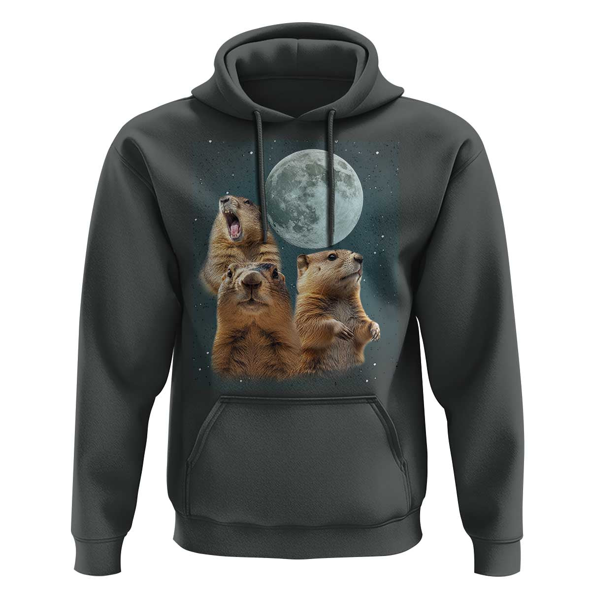 Funny Three Groundhog Meme Hoodie Woodchucks Under The Moon