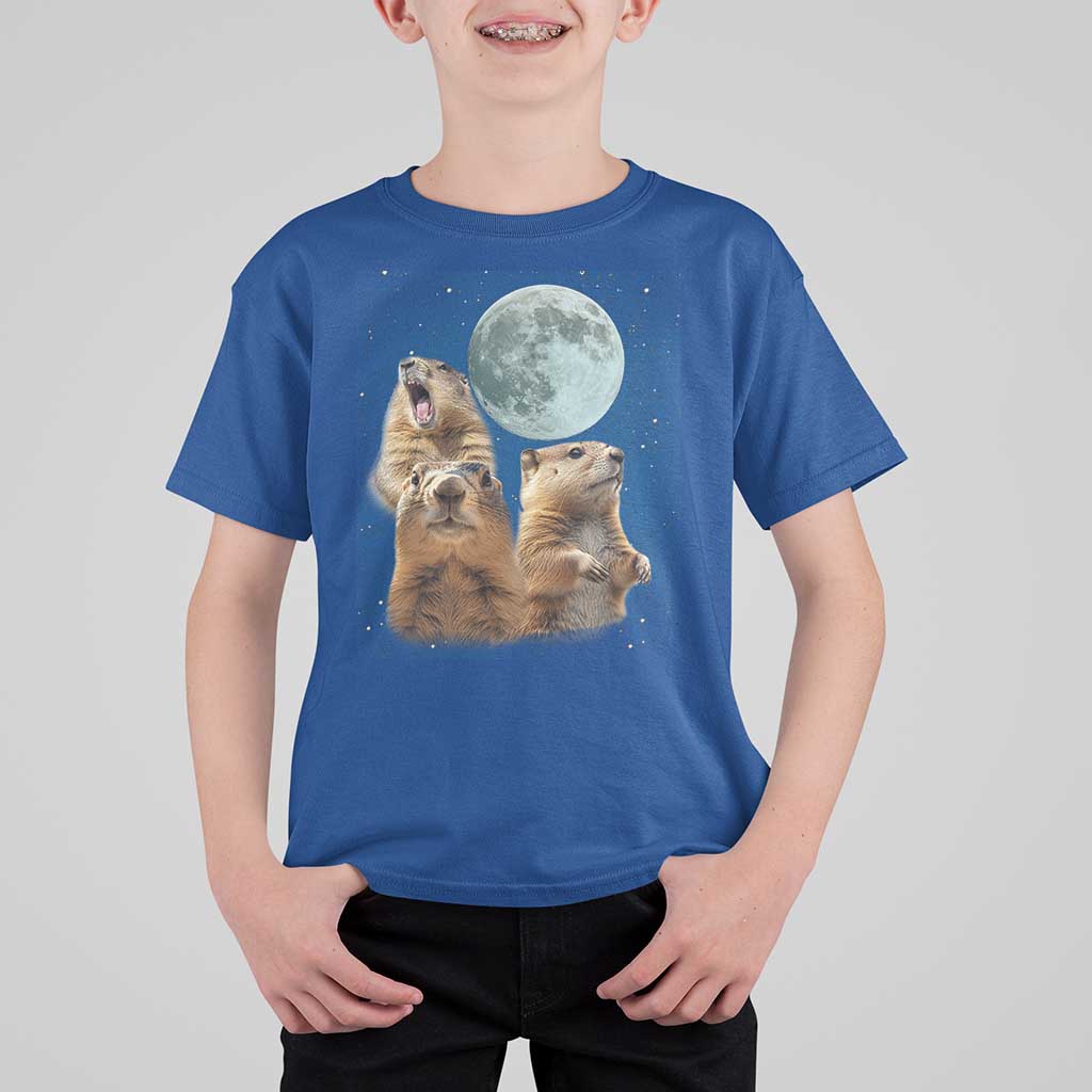 Funny Three Groundhog Meme T Shirt For Kid Woodchucks Under The Moon