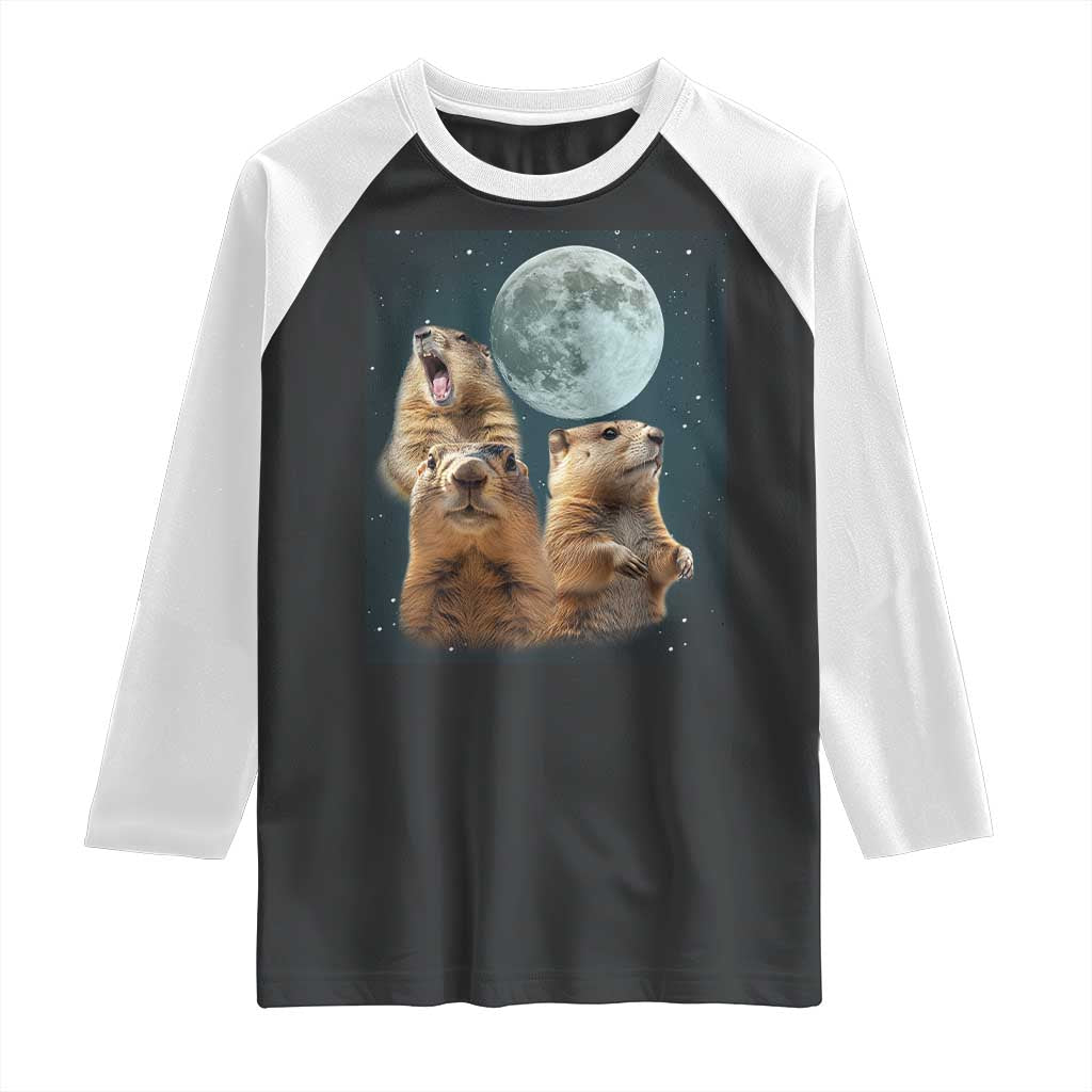 Funny Groundhog Meme Raglan Shirt Woodchucks Under The Moon