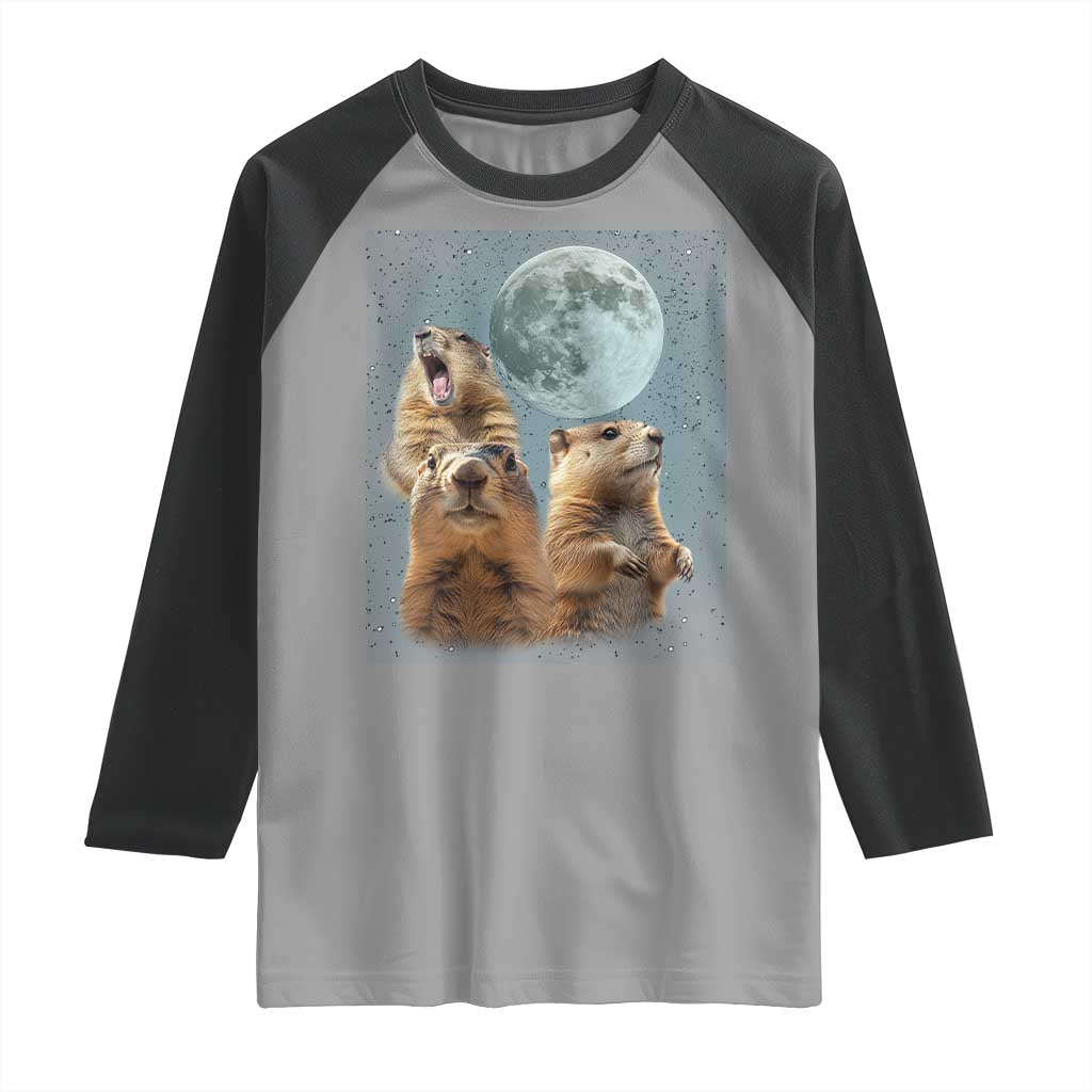 Funny Groundhog Meme Raglan Shirt Woodchucks Under The Moon