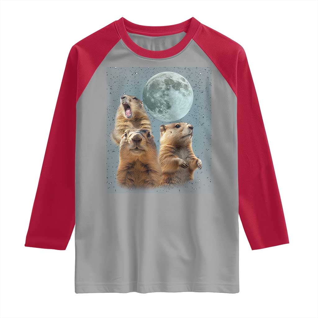 Funny Groundhog Meme Raglan Shirt Woodchucks Under The Moon