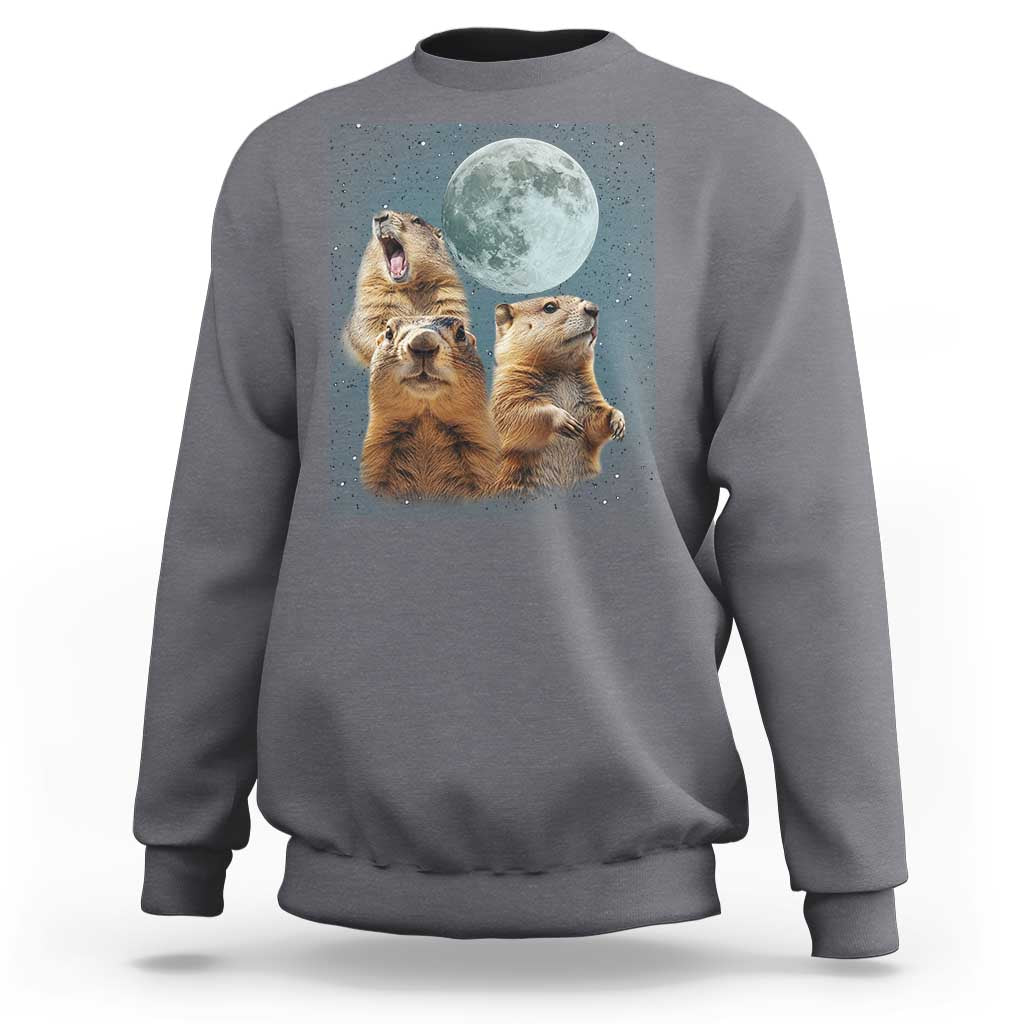 Funny Three Groundhog Meme Sweatshirt Woodchucks Under The Moon