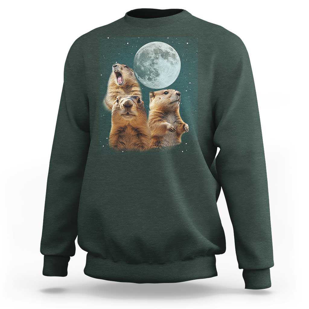 Funny Three Groundhog Meme Sweatshirt Woodchucks Under The Moon