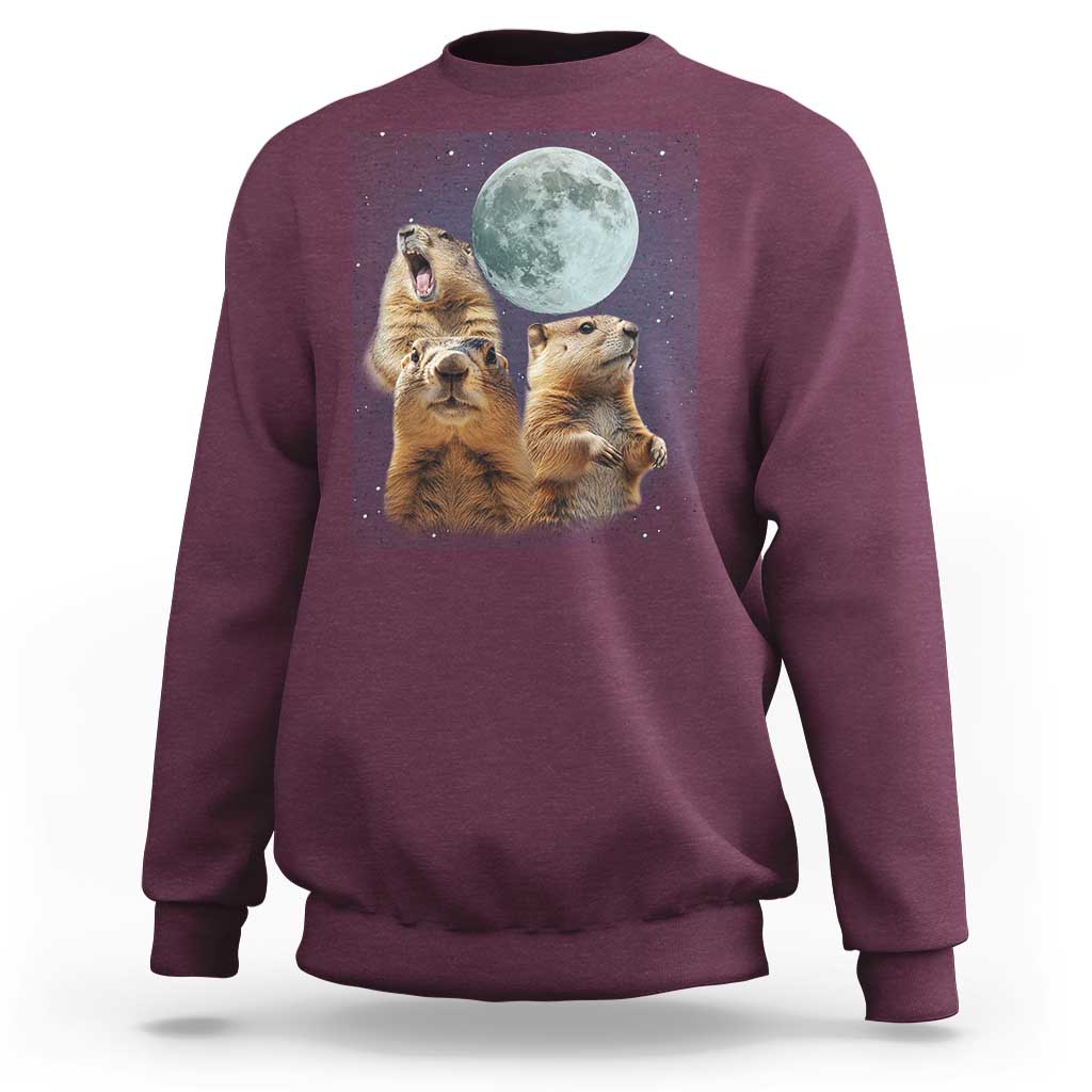 Funny Three Groundhog Meme Sweatshirt Woodchucks Under The Moon