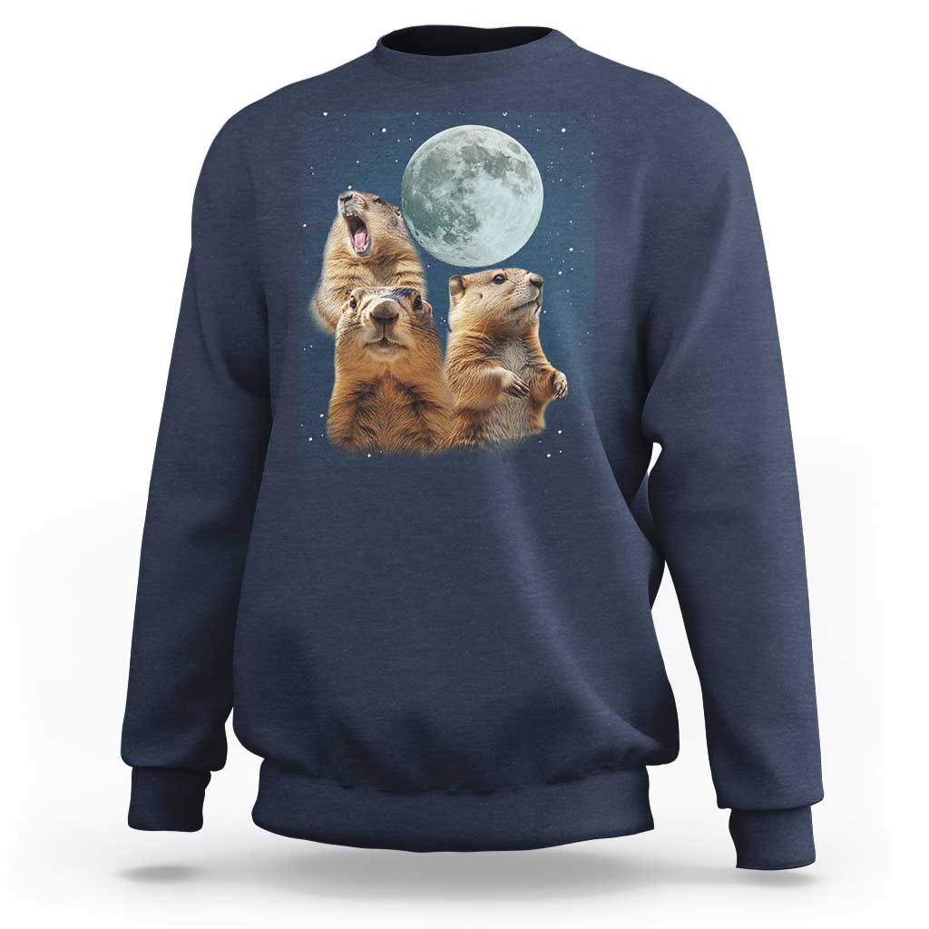 Funny Three Groundhog Meme Sweatshirt Woodchucks Under The Moon