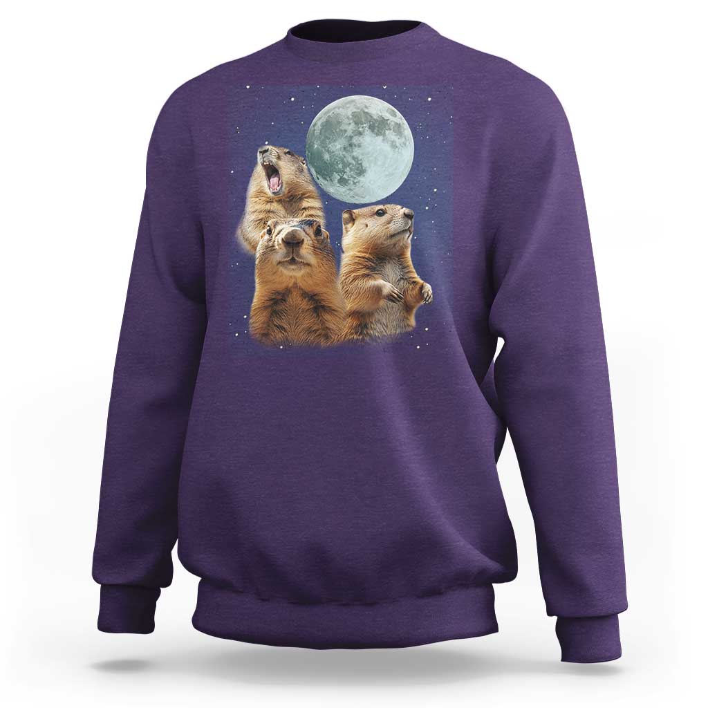 Funny Three Groundhog Meme Sweatshirt Woodchucks Under The Moon
