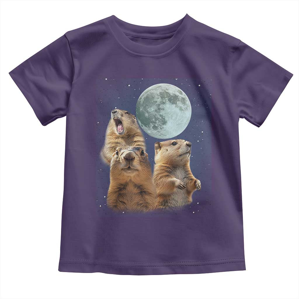 Funny Three Groundhog Meme Toddler T Shirt Woodchucks Under The Moon