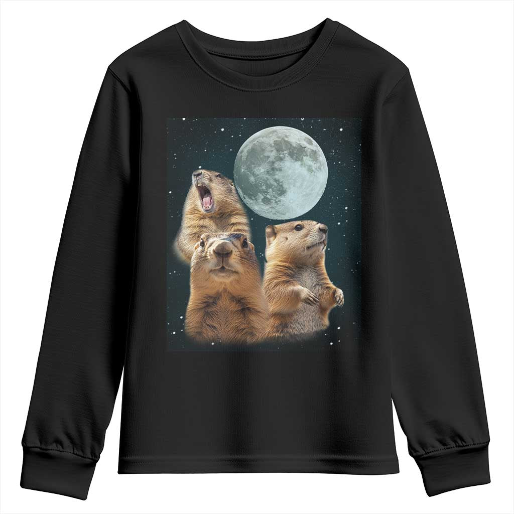 Funny Three Groundhog Meme Youth Sweatshirt Woodchucks Under The Moon