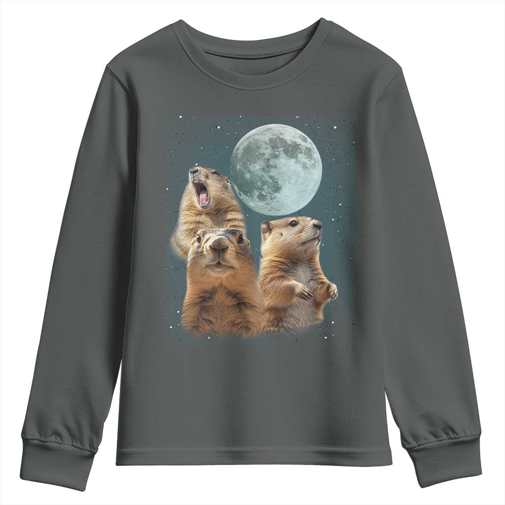 Funny Three Groundhog Meme Youth Sweatshirt Woodchucks Under The Moon