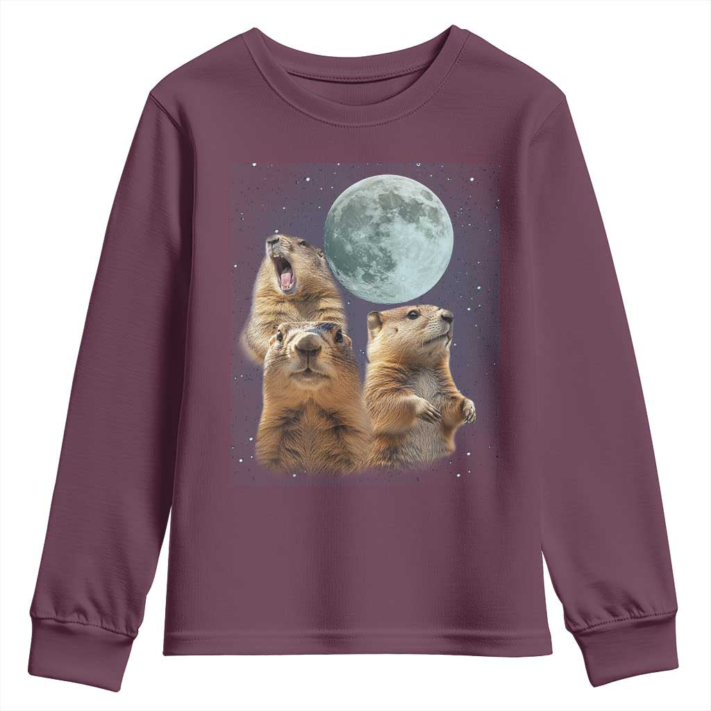Funny Three Groundhog Meme Youth Sweatshirt Woodchucks Under The Moon