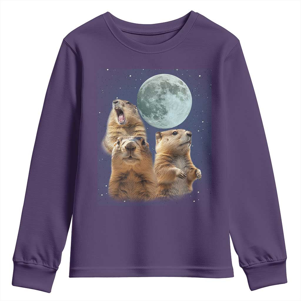 Funny Three Groundhog Meme Youth Sweatshirt Woodchucks Under The Moon