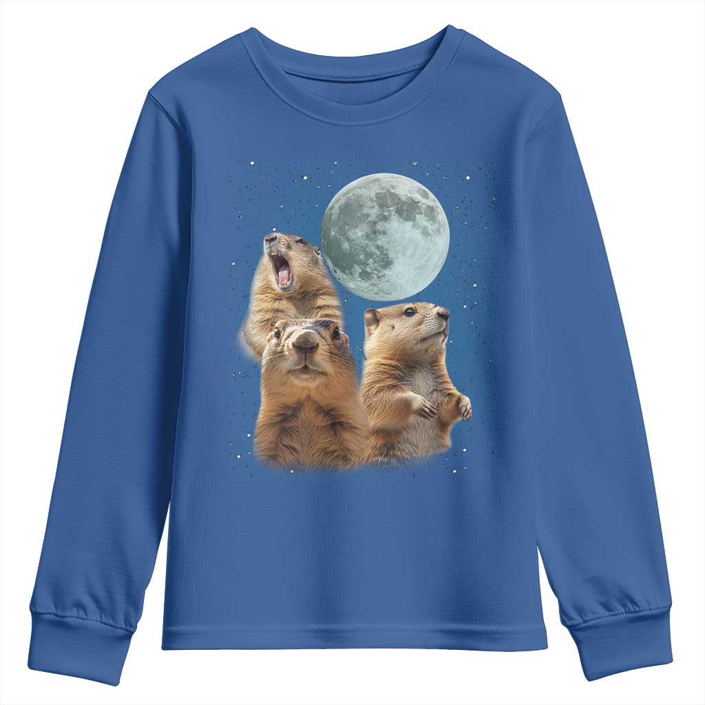 Funny Three Groundhog Meme Youth Sweatshirt Woodchucks Under The Moon