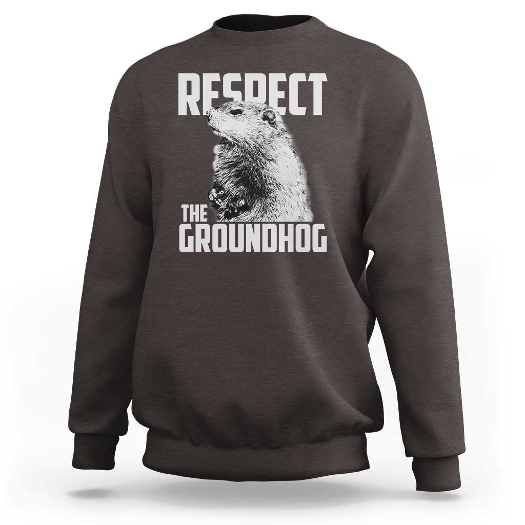 Respect The Groundhog Sweatshirt Funny Woodchuck Shadow Meteorlogy