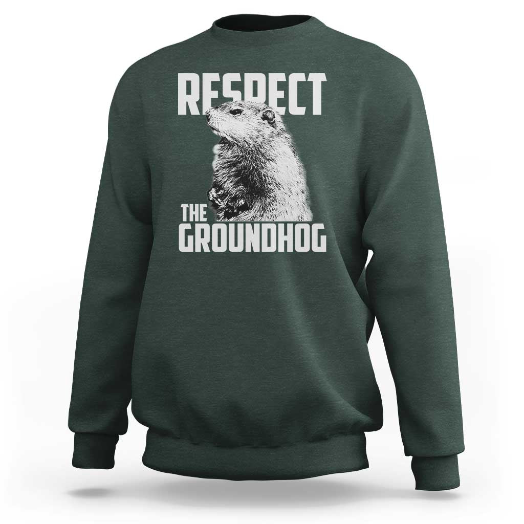 Respect The Groundhog Sweatshirt Funny Woodchuck Shadow Meteorlogy