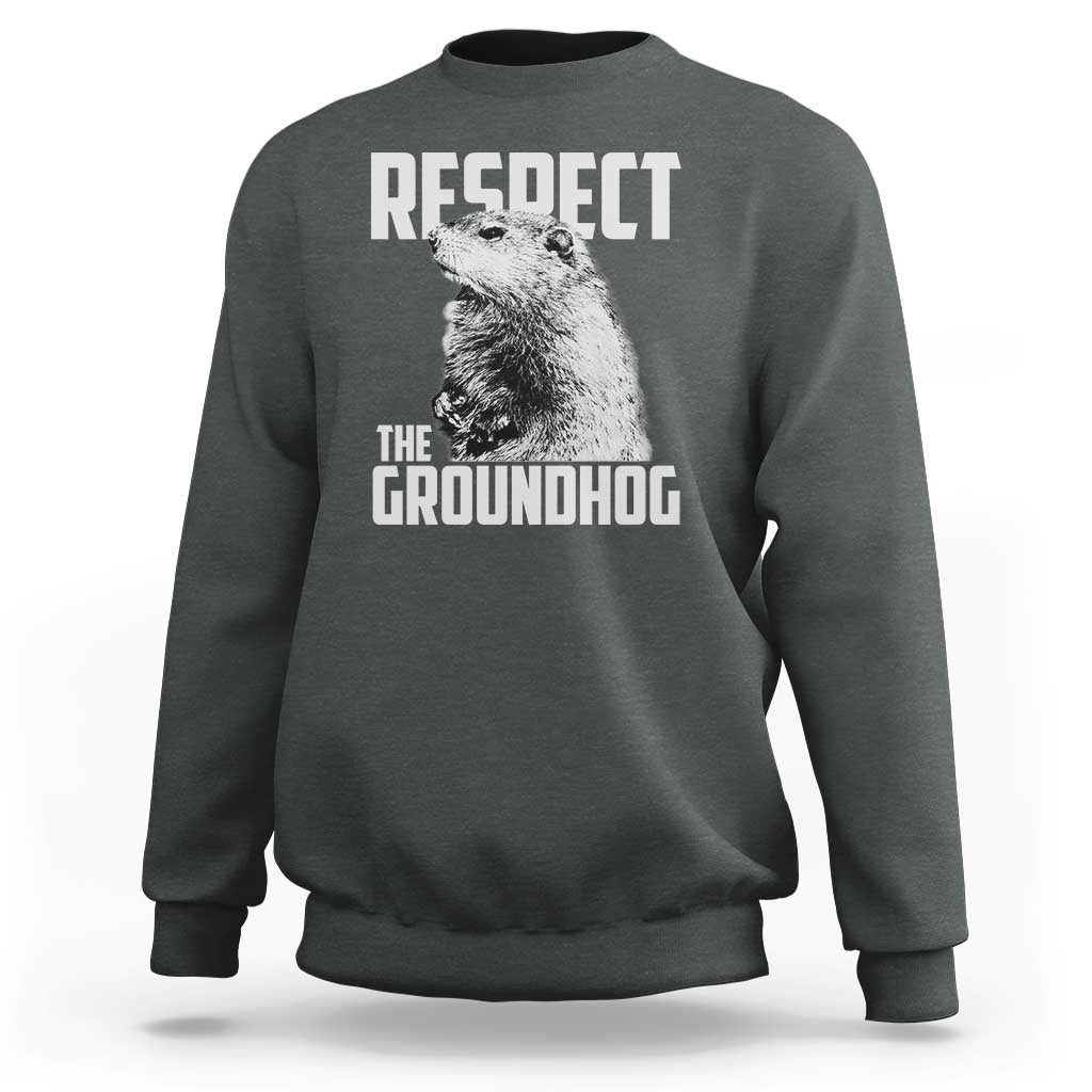 Respect The Groundhog Sweatshirt Funny Woodchuck Shadow Meteorlogy