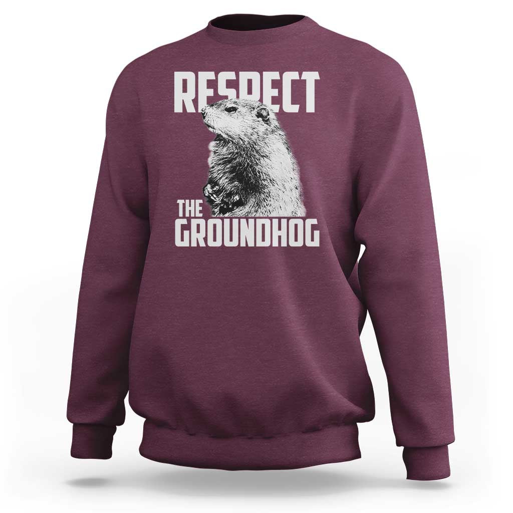 Respect The Groundhog Sweatshirt Funny Woodchuck Shadow Meteorlogy