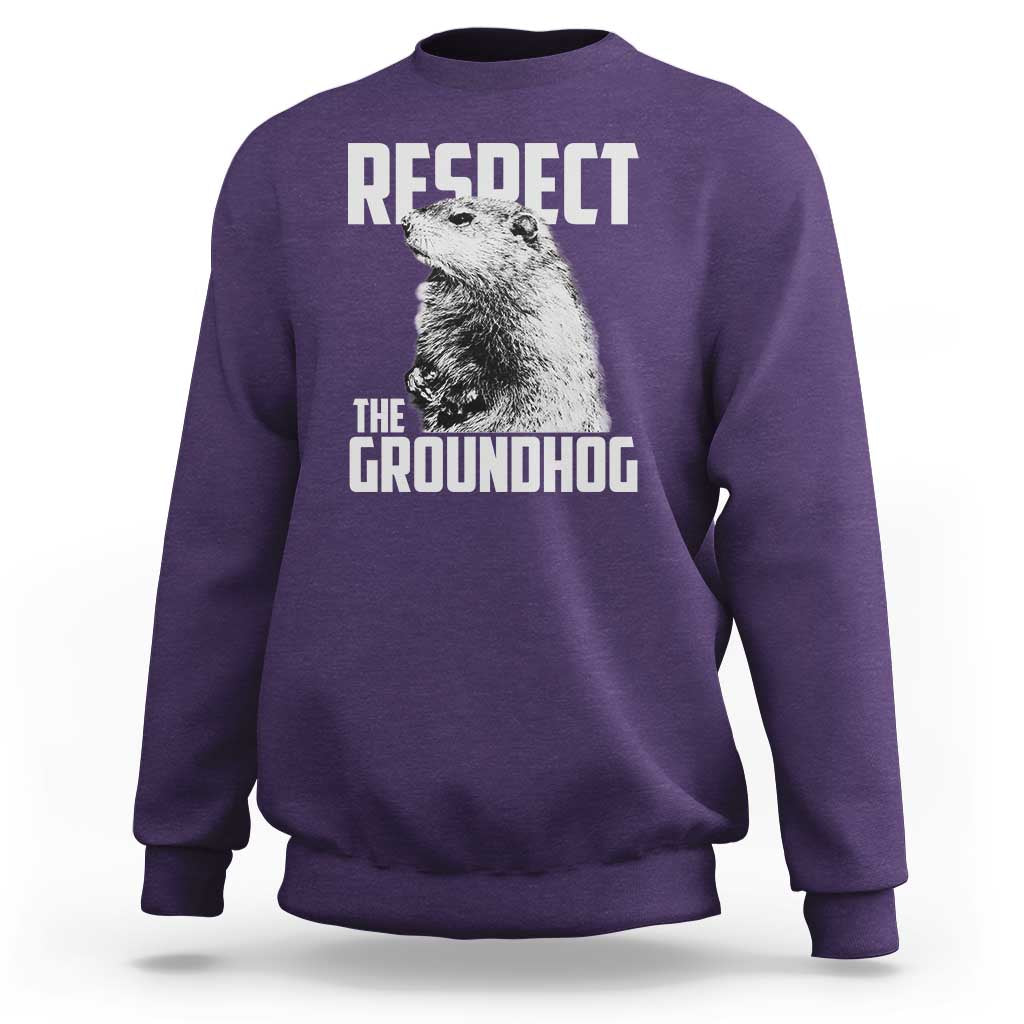 Respect The Groundhog Sweatshirt Funny Woodchuck Shadow Meteorlogy