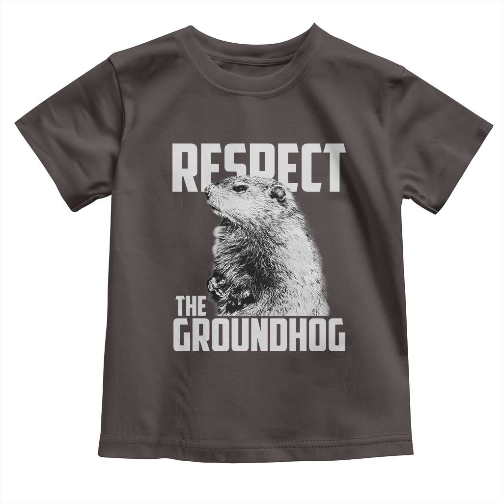 Respect The Groundhog Toddler T Shirt Funny Woodchuck Shadow Meteorlogy