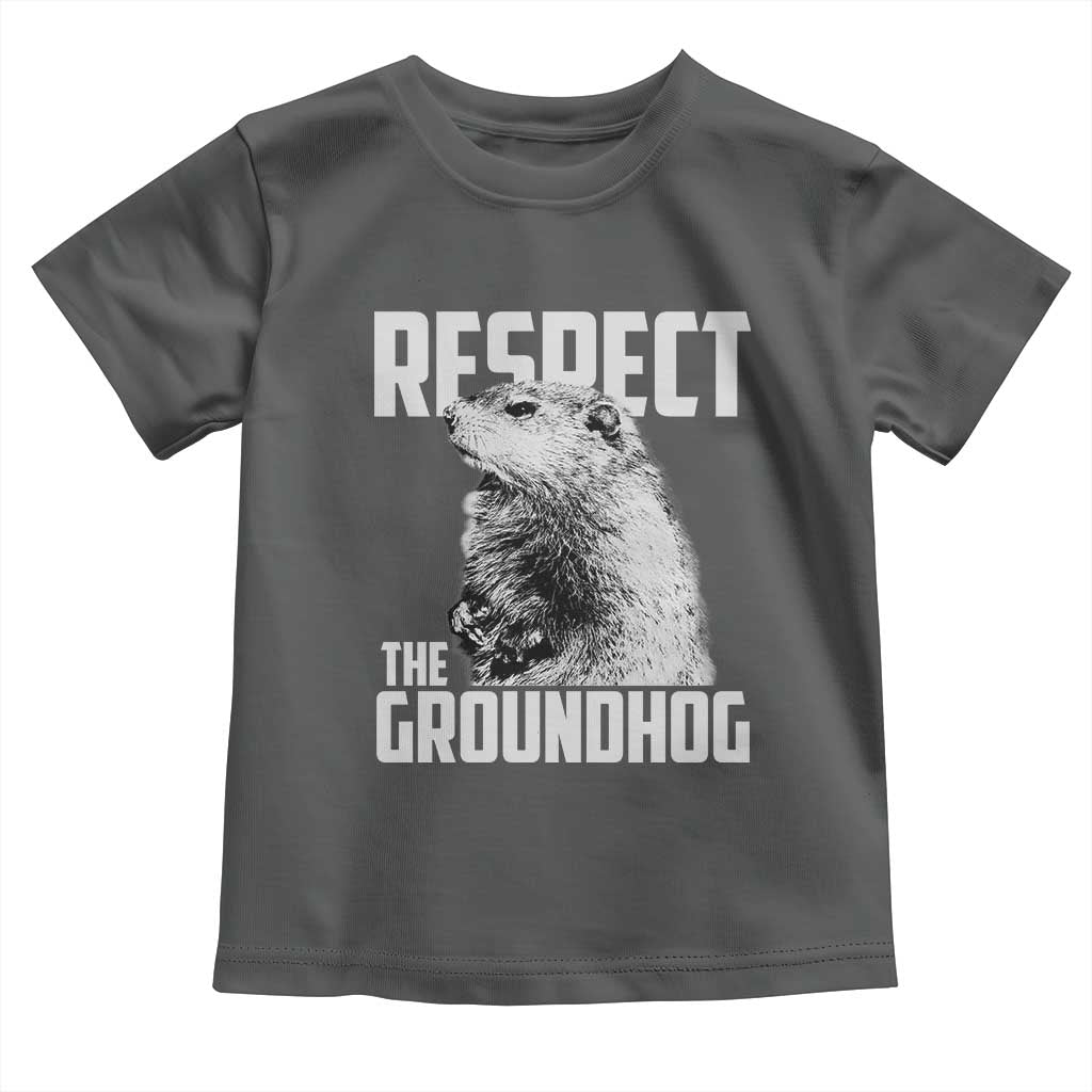 Respect The Groundhog Toddler T Shirt Funny Woodchuck Shadow Meteorlogy