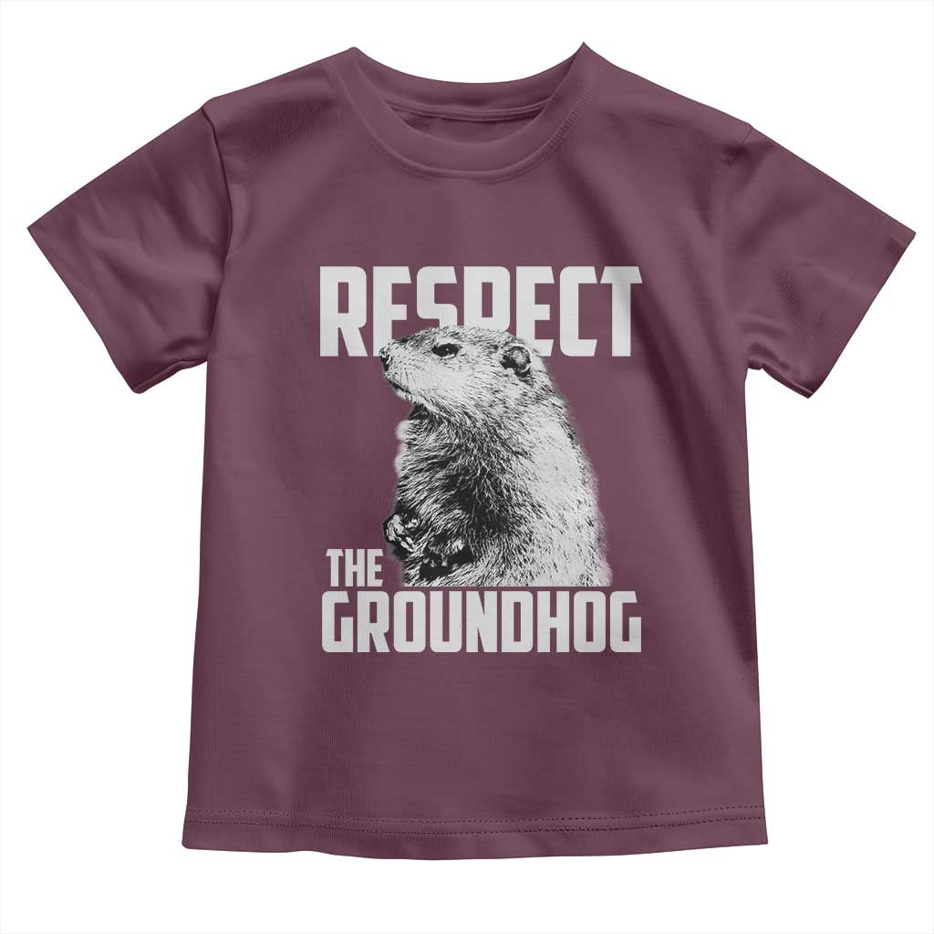Respect The Groundhog Toddler T Shirt Funny Woodchuck Shadow Meteorlogy