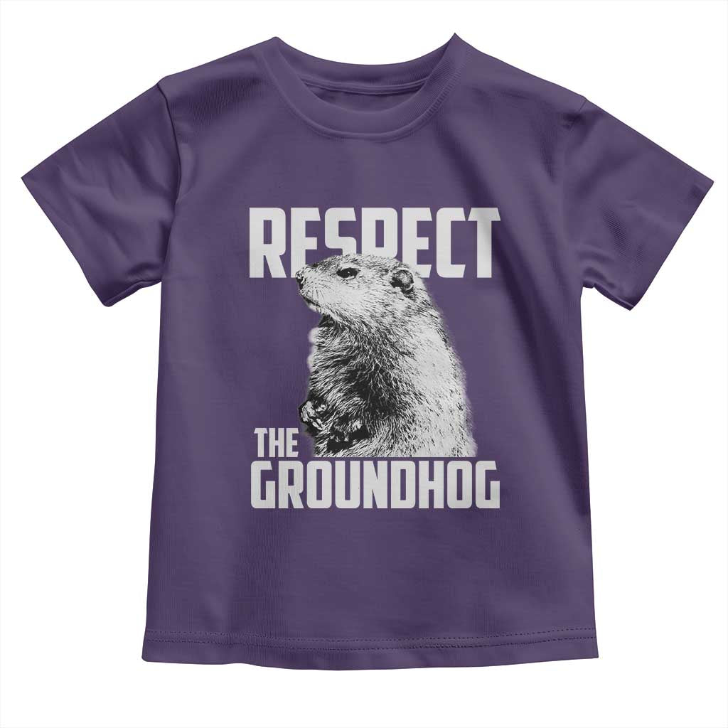 Respect The Groundhog Toddler T Shirt Funny Woodchuck Shadow Meteorlogy