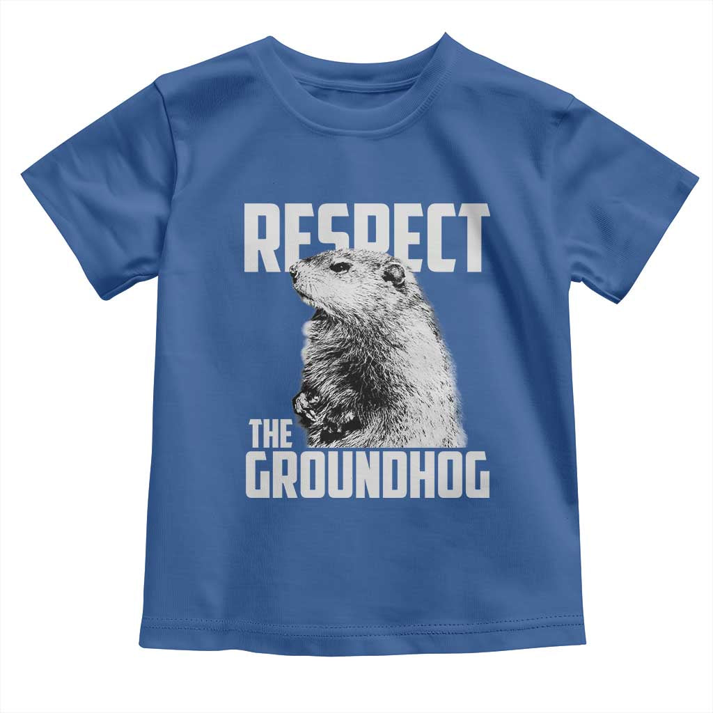 Respect The Groundhog Toddler T Shirt Funny Woodchuck Shadow Meteorlogy