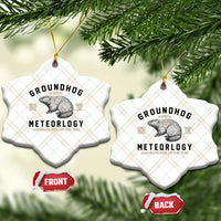 Groundhog Meteorology Ceramic Ornament Estd 1887 Accurate 50 Percent Of The Time Woodchuck - Wonder Print Shop