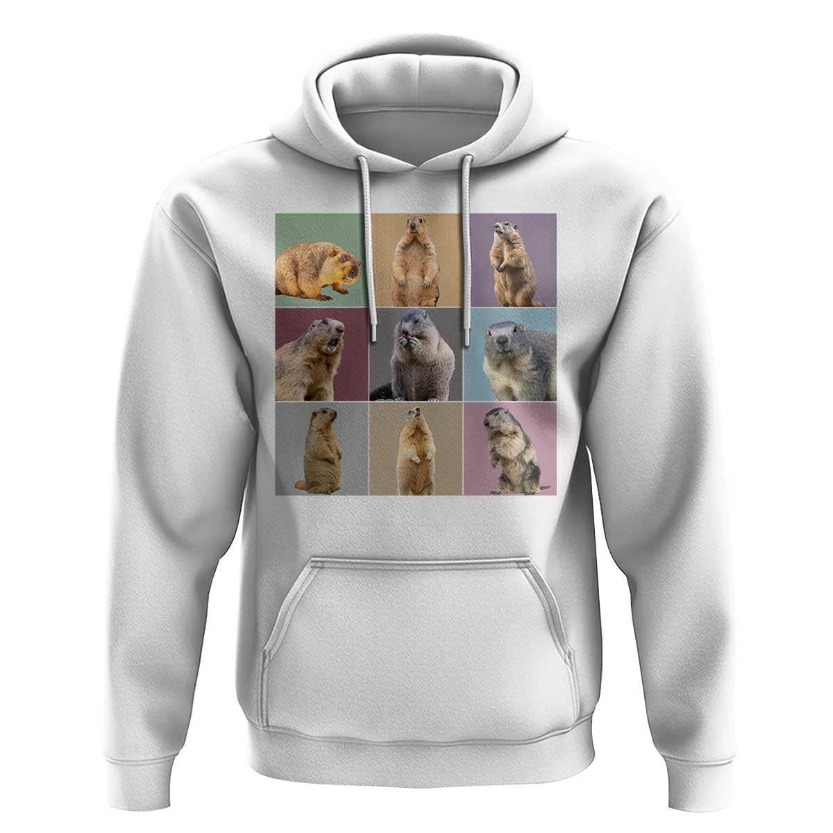 In My Groundhog Era Hoodie Funny Woodchuck