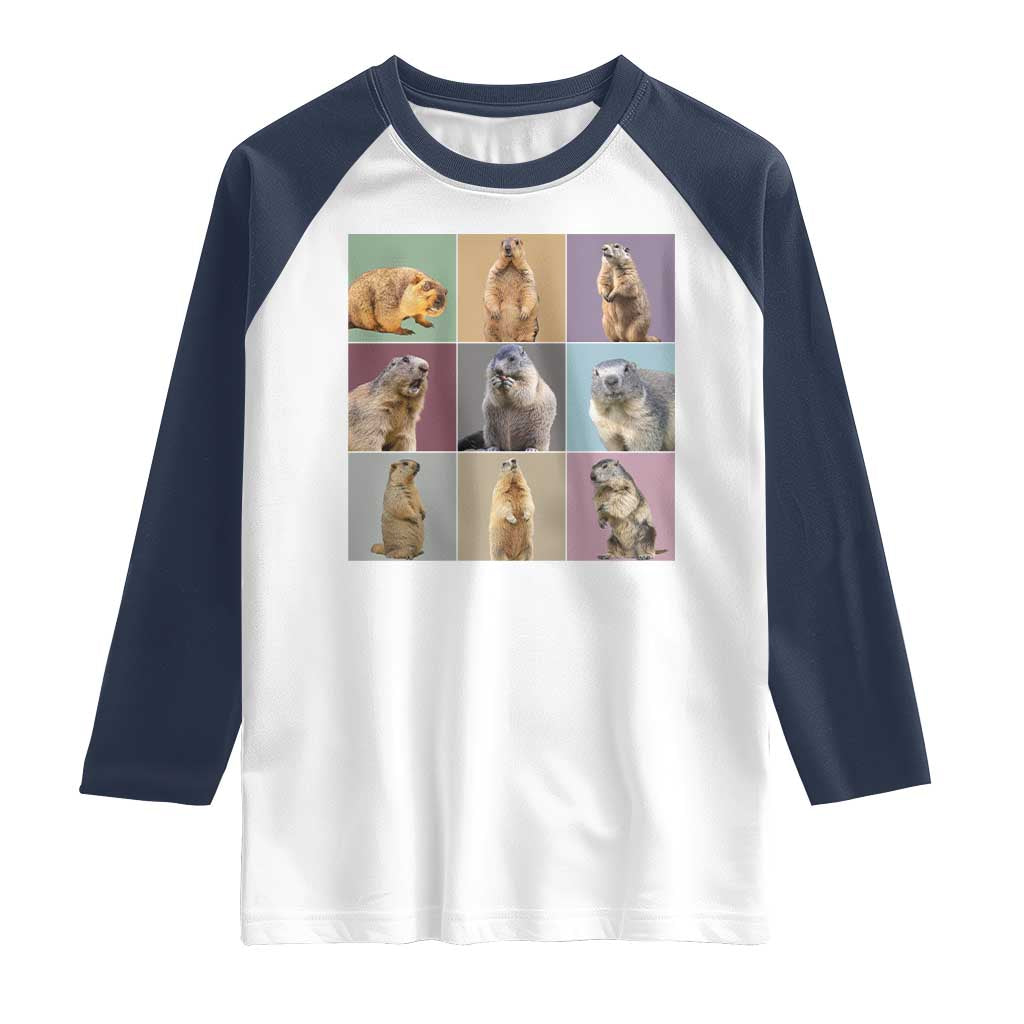 In My Groundhog Era Raglan Shirt Funny Woodchuck