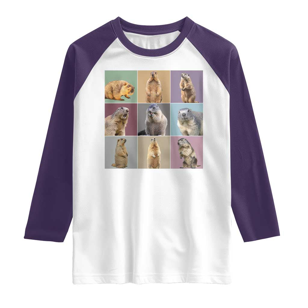 In My Groundhog Era Raglan Shirt Funny Woodchuck